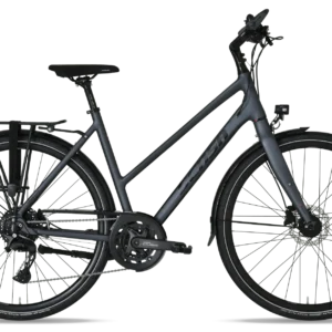 Travel Lite Disc Lady